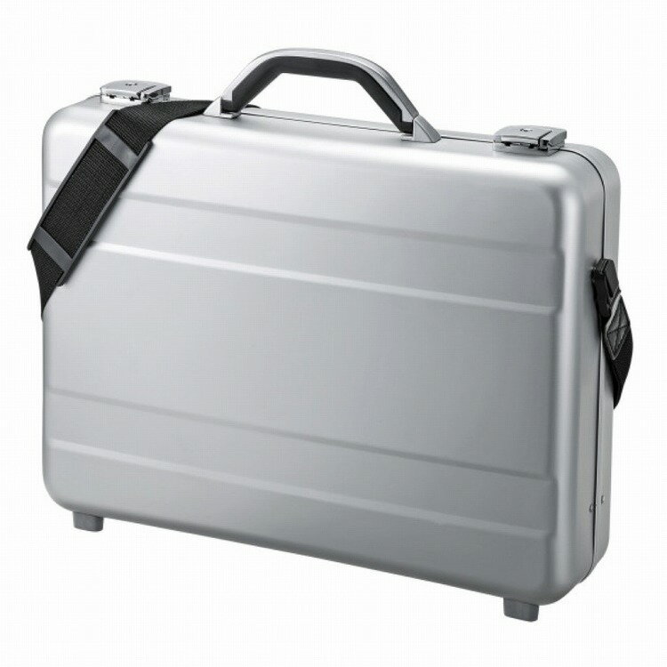 サンワサプライ PCアルミケース BAG-AL4N2(代引不可)【送料無料】