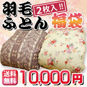 色/柄おまかせ！羽毛布団2枚入福袋 布団セット福袋 シングル 羽毛布団 福袋【送料無料】