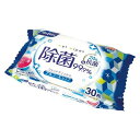 リファイン 24h抗菌アルコールおでかけ(30枚) LD-123(代引不可)(3)