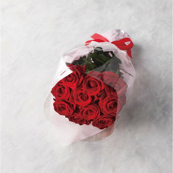 バラの花束 16本から20本までのお申し込み レッド 19RD16-20 室内装飾品 花・グリ-ン 生花花束(代引不可)