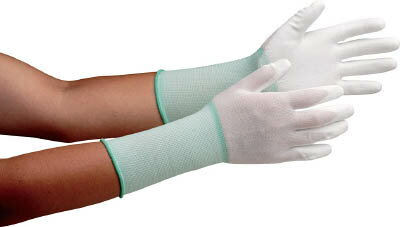 �ߥɥ���� ��ȯ�м��� ���� �ʼ�ΤҤ饳���ȡ�10���� LL MCG500NLONGLL