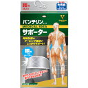 興和 バンテリンサポーター 腰用大きめサイズ(シャイニンググレー) 24531【送料無料】(4)