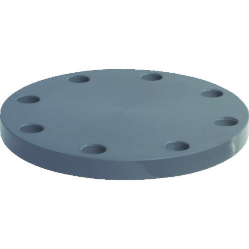 エスロン 板フランジSB型 25 JIS5K PVC FSB255