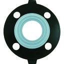 エスロン PTFE(テフロン)パッキン 50A JIS10K PP50【送料無料】