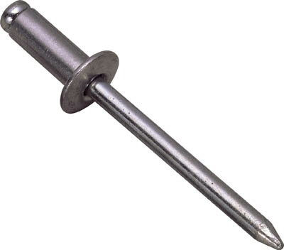 エビ ブラインドリベット（1000本入） ステンレス／ステンレス 4−2【NST4-2】(ファスニングツール・ブラインドリベット)【送料無料】