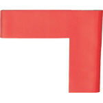 IWATA ラインプロLタイプ（赤）2枚入り【LPL6】(テープ用品・ラインテープ)