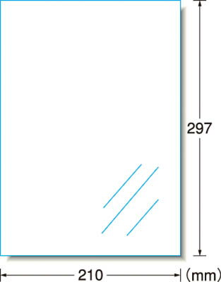 A−one 屋外用サインラベル（レーザープリンタ）ツヤ消しフィルム・透明【31036】(安全用品・標識・安全..