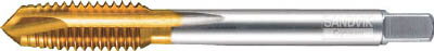サンドビック コロタップ【EP1CPJ1-M6X0.75】(ねじ切り工具・ポイントタップ)【送料無料】