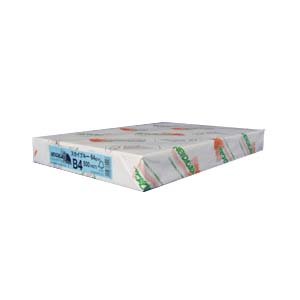 B4 Size Paper - 文運堂 NEWファインカラー B4 スカイブルー【送料無料】