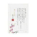 エヌビー 伝えるきもち便箋デンファレ 5300204