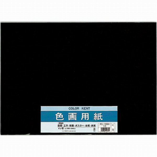 マルアイ 色画用紙 N461 Pエ-N46D クロ