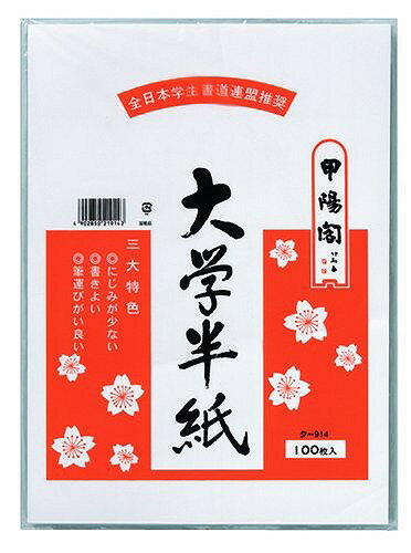 マルアイ 大学半紙 タ-914