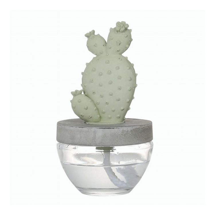 DULTON ����ȥ� �ǥ��ե塼���� ���������ե쥰��󥹥ǥ��ե塼���� ���ܥƥ� Elegantpeony ���襤�� ������� ����ꥫ��(����Բ�)