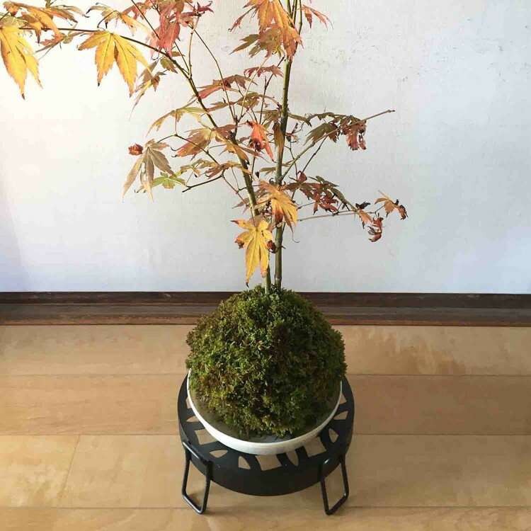 プランタースタンド 和柄プランタースタンド Mサイズ 21cm 七宝 東洋ケース(代引不...