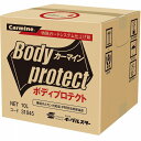 ビユーテー 純正 FK-2/FK-2ハイパー対応品・洗車機用ポリマー撥水剤 イーグルスター ボディプロテクト 10L(BinB) 31045【送料無料】