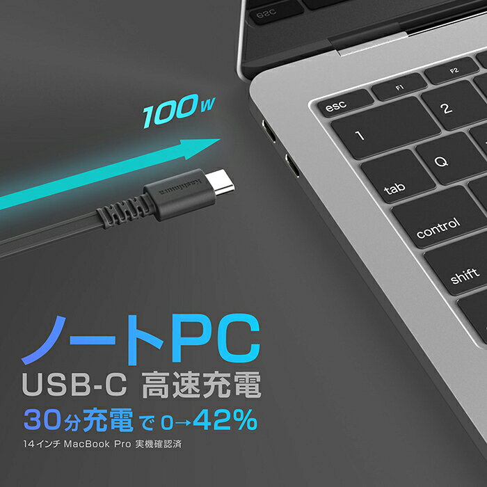 カシムラ USB充電&同期ケーブル リールタイプ1.2m TYPE-C⇔C PD100W 黒 AJ678