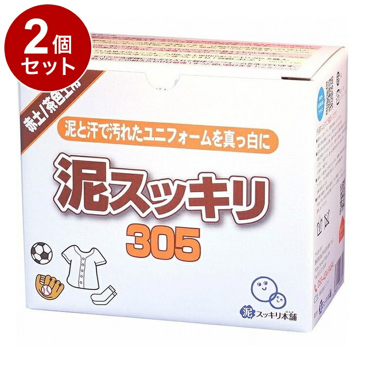 【単品2個セット】 泥スッキリ 305 1.