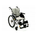 (ミキ) STR-1B サニタリー車椅子 自走式 抗菌 衛生 足踏みブレーキ装備 ノーパンクタイヤ仕様 折りたたみ メンテナンス容易 耐荷重100kg MiKi