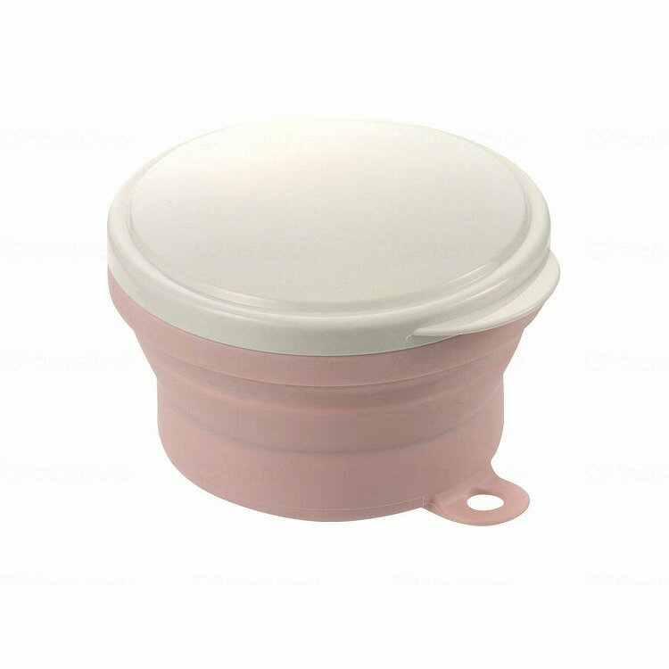 リッチェル 使っていいね 入れ歯ケース ピンク(代引不可)