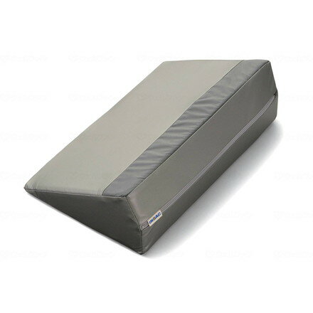 イノアックリビング サーティパッドPRO Ag シルバー 400 DSP-400(代引不可)【送料無料】