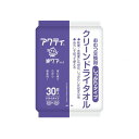 日本製紙クレシア クリーンドライタオル 袋 しっかりタイプ 80890(代引不可)