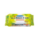 三昭紙業 おもいやり心 大人用ぬれタオルN 60 ケース 28187(代引不可)【送料無料】