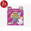 【単品2個セット】大王製紙 Tグーン スーパーBIG安心吸収パッド26枚 袋 753860(代引不可)【送料無料】