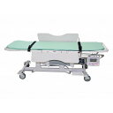 1台 大和製衡株式会社 はかり付ストレッチャー(検定付) DP-7300PW DP-7300PW 300407(代引不可)【送料無料】