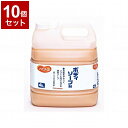 【単品10個セット】ピジョンタヒラ ハビナース ボディソープ 106101BA(代引不可)【送料無料】