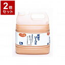 【単品2個セット】ピジョンタヒラ ハビナース ボディソープ 106101BA(代引不可)【送料無料】