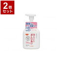 【単品2個セット】ピジョンタヒラ 泡がやさしいおしり洗い 本 350ml 669200IK(代引不可)【送料無料】(4)