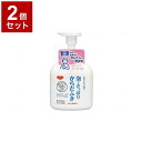 【単品2個セット】ピジョンタヒラ 泡でさっぱりからだふき 本 500ml 669200IJ(代引不可)【送料無料】