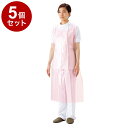 【単品5個セット】サラヤ サラヤ プラスチックエプロン袖なし 50枚入 ケース ピンク 51076 975088 120 12350(代引不可)【送料無料】