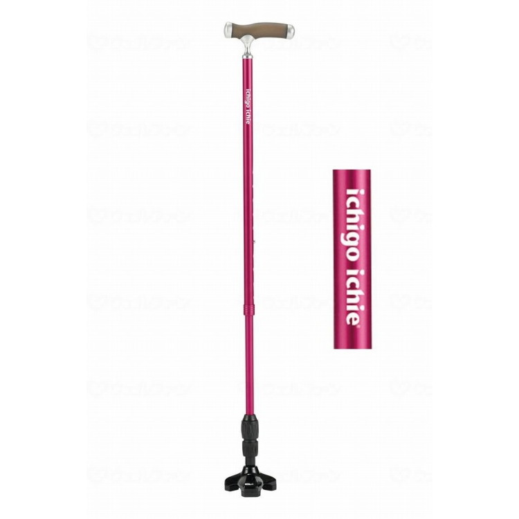 マキテック もっちートリプル/ワインレッド/-(代引不可)【送料無料】