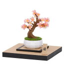カワダペーパーナノ360 盆栽 桜【送料無料】