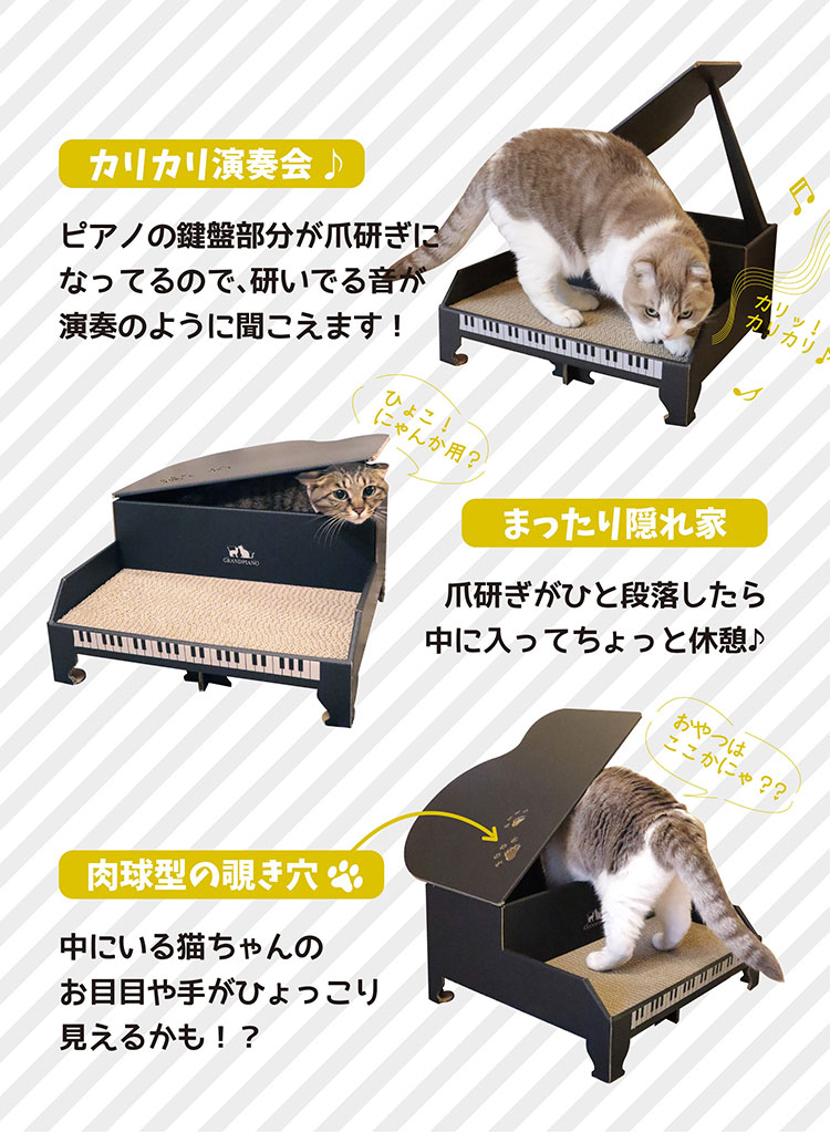 ������ �ˤ�󤳥����ɥԥ��� �ޤȤ� ����� ��Ω�� ǭ ������� �ޤȤ� �Ĥ�Ȥ� �ͤ� �ͥ� ����å� ���ꥬ�� ���� �ʥܡ��� ����ܡ��� ������� ���襤�� ǭ�� �Ĥ�Ȥ�(����Բ�)������̵����