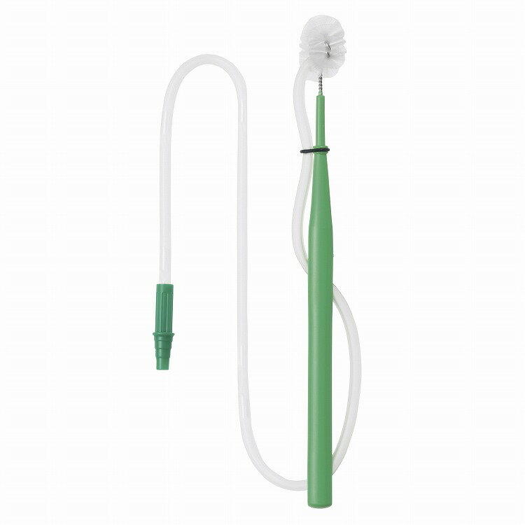 ۰꡼ʥ֥饷ߥ 12 åX6꡼X6̵