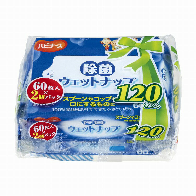 除菌ウェットナップ 60枚×2P 1005760 11234