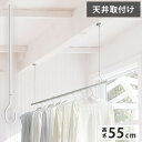 ナガエ hoss NAGAE 室内物干金物 スポット式 zero ホワイト 555mm NS-IMAA01-55-WH 室内用物干金物おしゃれ 北欧 インテリア...