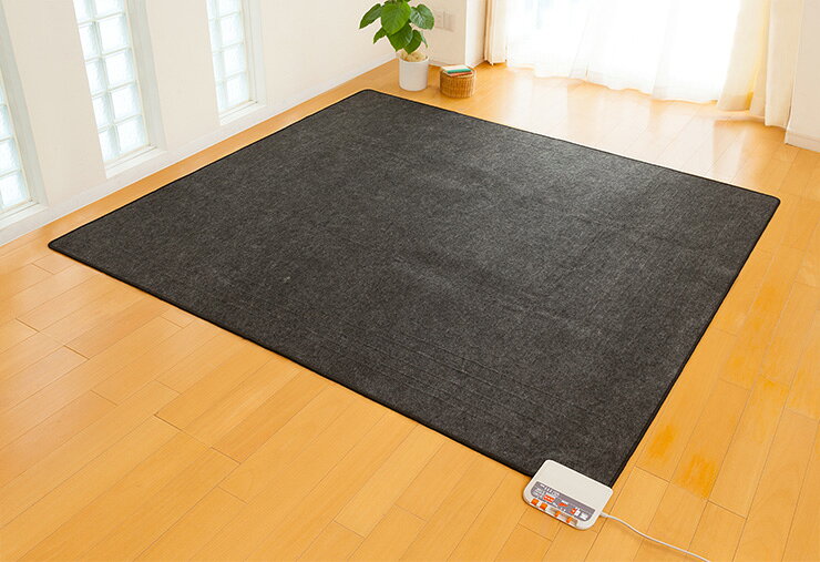 電気ホットカーペット 3畳タイプ 本体のみ 電磁波99%カット ZCB-30P 電磁波カット ...