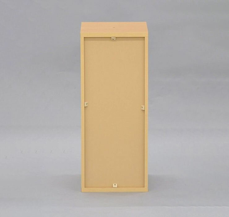 ���顼�ܥå��� ��25 �⤵60 �����ּ�Ǽ 2�� ���� ����� �����ץ��å� ��å� ��Ǽ ����ѥ��� ��ê �֥å���å� 25cm �������(����Բ�)������̵����