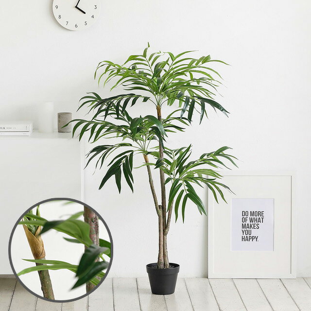 �ꥳ���Ʋ�ۡ���饤�մۤ��㤨��֥롼�ॢ��ɥۡ��� �͹����տ�ʪ JAVA ��� ¤�� �͹� ���տ�ʪ �ڹ� �ڹ񥤥�ƥꥢ ���襤�� �������(����Բġ�����̵���ۡפβ����Ǥ������ʤ�11,799�ߤˤʤ�ޤ���