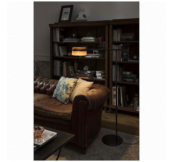 ゴーリキアイランド LOOP LED Black floor lamp FARO INDOOR ライト FA29569(代引...