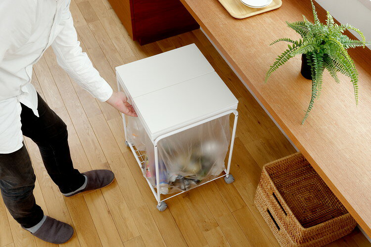 ゴミ箱 分別 2分別フレームダストワゴン フタ付き 45L 30L 対応 大容量 キッチン 台所 おしゃれ すっきり シンプル キャスター付き 移動 可動式 スリム 可燃 不燃 ペットボトル 缶 瓶 ビン リサイクル(代引不可)【送料無料】 [3]
