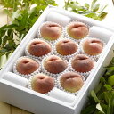 山梨県産 桃 10~12玉 計2.8kg 食品 お中元 中元 ギフト 贈り物 贈答 食べ物 熨斗 のし 贈答用 プレゼント おくりもの 20233140419(代引不可)【送料無料】