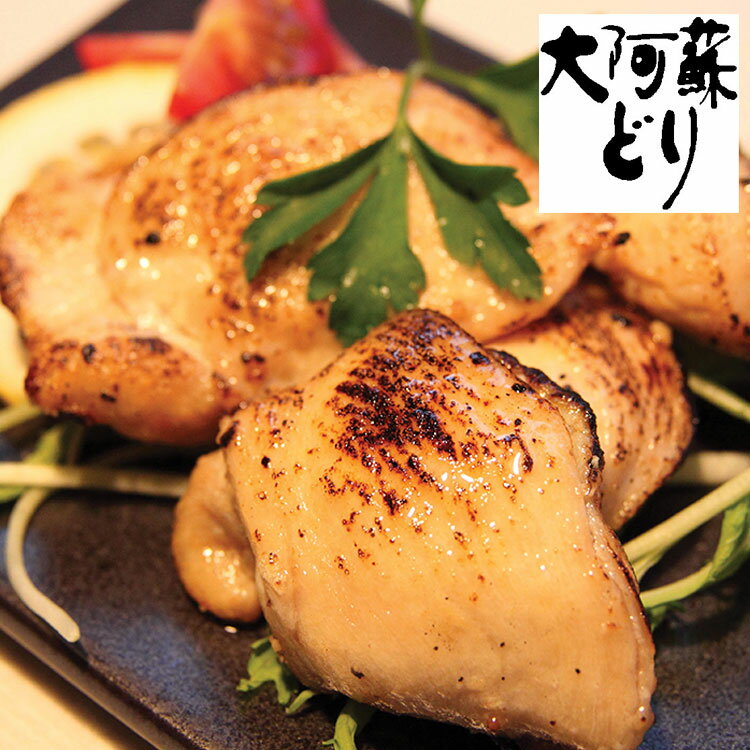 熊本 大阿蘇どり 焼肉 食品 ギフト プレゼント 贈答 熨斗 のし 贈り物 記念日 お祝い 冠婚葬祭 内祝 御祝 無地 出産内祝 結婚内祝 御見舞 快気祝 御仏...