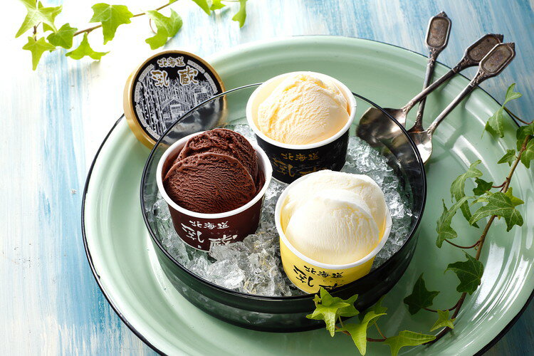 北海道 「乳蔵」 北海道プレミアムアイスクリーム3種9個 ギフト 産直 ご当地グルメ 熨斗 贈り物 新生活 お祝い お取り寄せ のし対応 (代引不可)【送料無料】