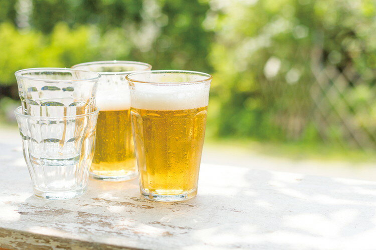 和歌山 梅搾り(4倍希釈) 食品 ギフト プレゼント 贈答 熨斗 のし 贈り物 記念日 お祝い 冠婚葬祭 内祝 御祝 無地 出産内祝 結婚内祝 御見舞 快気祝 御仏前 志 お供(代引不可)【送料無料】