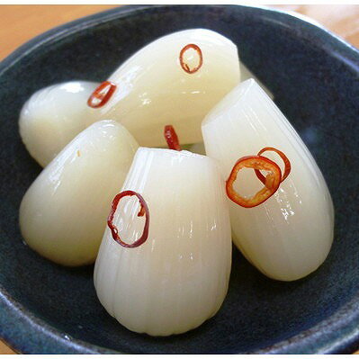 九州産 ふぞろい 九州産 ピリ辛 らっきょう 5個 らっきょう漬け ラッキョウ お歳暮 冬ギフト 年末 年始 年末年始 お取り寄せグルメ プレゼント 熨斗 のし...