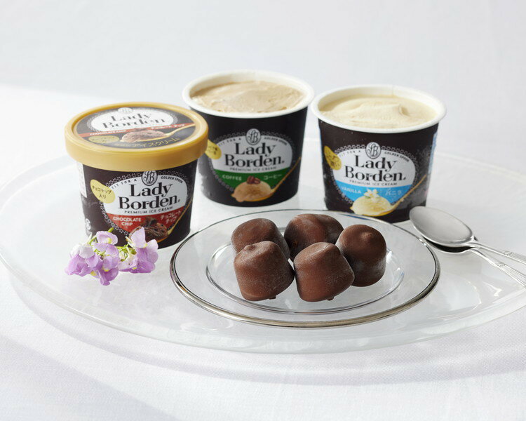 レディーボーデン セット スイーツ デザート ギフト 産直 ご当地グルメ 熨斗 贈り物 新生活 お祝い お取り寄せ のし対応 (代引不可)【送料無料】